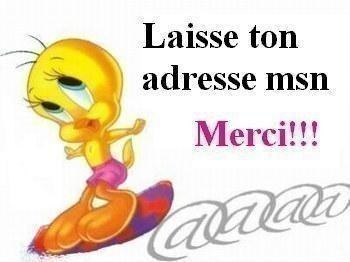 laisse la on pourra faire connaissance 